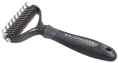 WALDHAUSEN