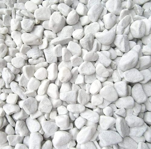 1 Kilogramm (Kg) Deko-Steine | Carrara Marmorkies | 18-25 mm | Edler Zierkies für Haus & Garten | Perfekt für Bodenvasen, Windlichter & Gartenprojekte | Gerundete Natursteine | Vielseitig & stilvoll