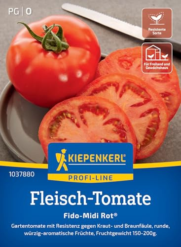 Kiepenkerl Fleisch-Tomatensamen Fido-Midi Rot 1037880, Gemüsesaat | Fruchtgewicht 150-200g, Wuchshöhe 150-200 cm, aromatisch, für Freiland, Gewächshaus & Topf