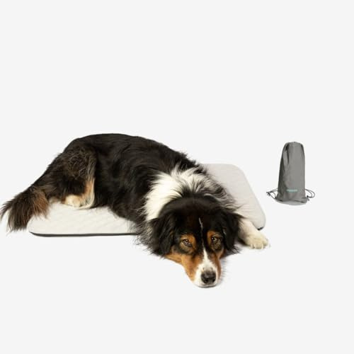 Manuly Hundedecke für unterwegs, Set aus Hundematte selbstaufblasend, kühlendem wasserabweisenden Bezug und Tragetasche, waschmaschinentauglich, Bezug kann gewechselt Werden, 80x60x3,5cm, 760g