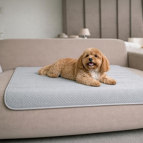 Dreamzie Hundedecke Wasserdicht Bett, Auto, Outdoor 80x100cm - Reversible und Maschinenwaschbar Hundedecke Sofa aus Sherpa Fleece - Hellgrau
