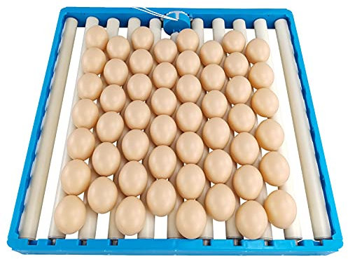 delr Inkubator-Tablett, Eierschalen für die Inkubation, Brutapparate für Bruteier, Wachteln, Papageien, Enten, Vogeleier, Drehteller, Geflügelbrüter für Hühner, Enten, Vögel