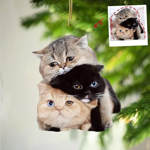 iDIY Personalisierte Weihnachtskugeln - Personalisierter Weihnachtsschmuck - Weihnachtskugeln Foto selbst gestalten - Christbaumkugel mit eigenem Foto - Katze