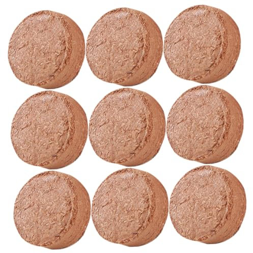 Toddmomy 60piezas Tierra Expandible Sustrato Compactado para Cactus y Suculentas