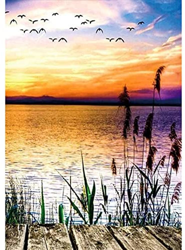 QUIIEOSKIA Diamond Painting Erwachsene, 5D DIY Diamond Painting Kits, Strand Landschaftfor Mosaik Bastelset Erwachsene, 30x40cm - Sonnenuntergang