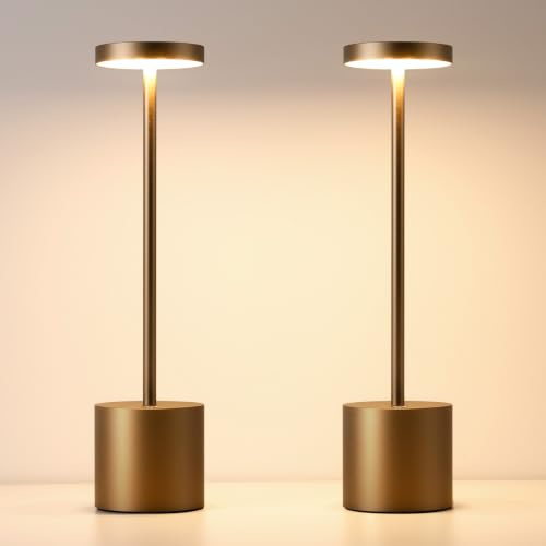 Lampada da Tavolo Senza Fili Ricaricabile per Esterno, Interni (2 Titanium)