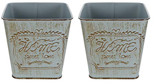 Cabilock 2 Stücke Vintage Blumentopf Blumenvase Kaktus Sukkulenten Topf Eisen Pflanzgefäß Landhaus Vase Metall Eimer Retro Übertopf für Balkon Büro Schreibtisch Shabby Chic Deko Wohnzimmer Tischdeko