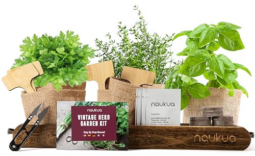 Mini Huerto Urbano Vintage de Plantas Aromáticas y Culinarias (Tomillo Albahaca Perejil y Cilantro) - Semillas Orgánicas de España - Kit Completo para Cultivar tus Hierbas Frescas en Casa