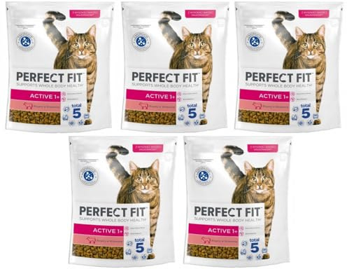 Active 1+ – Trockenfutter für Erwachsene, aktive Katzen ab 1 Jahr – Reich an Rind – Unterstützt die Vitalität – 5 x 750 g