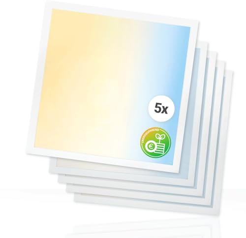 Xtend EcoLight 5x LED Panel 62x62cm 3000K 4000K 6000K 3CCT 25W | 4000lm Rasterleuchte Klasse A Energieeffiziente Deckenleuchte Netzteil BLs2.0