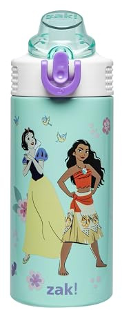 Zak Designs Disney Princess Sage 14oz Leak-Proof Straw Kids Water Bottle | BPA Free, Insulated Stainless Steel, Cupholder Friendly, Dishwasher Safe, Easy to Clean, Lid Lock, For School, Home, Travel
