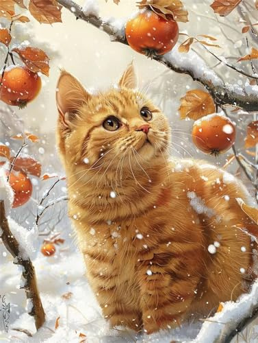 5D DIY Pintura de Diamante Gato Naranja,Escena De Nieve.,Punto de Cruz Diamond Painting para Niños y Adultos,Cuadro de Diamantes con Rhinestones para Decoración Hogar,Pintar con Diamantes 35x47cm C831