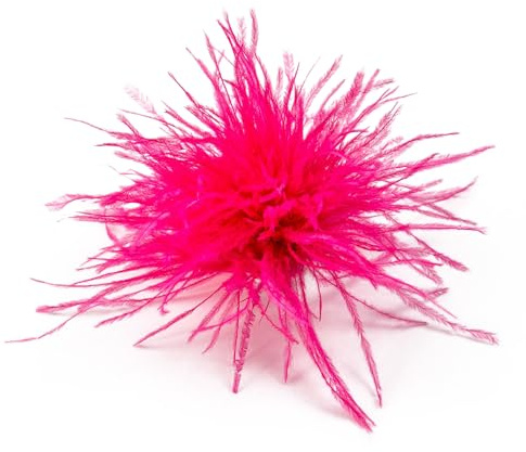Elegante Feder Brosche,Damen Haarspange,Straußenfeder Ansteckbrosche,Vintage Corsage,Schal Pin,Pullover Hemd Hüte Clips für Damen,Kleidung Zubehör,für Hochzeit Bankett Party,Wassermelonenrot