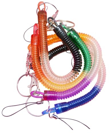 DECORNIJIA Lot de 4 Porte-clés à Ressort Hélicoïdal avec Clip, Cordon Spiralé Flexible en Plastique et Métal, Design Antivol pour Trousseau de Clés Couleur Aléatoire