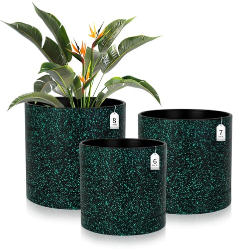 CSYY Plant Pots Indoor, Plastic Plant Pots, Flower Pots Outdoor Self Watering Indoor Plant Pot with Drainage Holes and Tray, Plastic Planter for Garden House Plants (Black and Green, 8/7/6in)