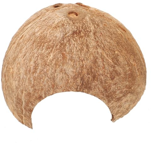 Hemobllo Cachette Reptile Naturelle Enveloppe de Noix Texturée Refuge Multi-usages pour Serpent et Tortue Décor Terrarium Écologique et Stimulant