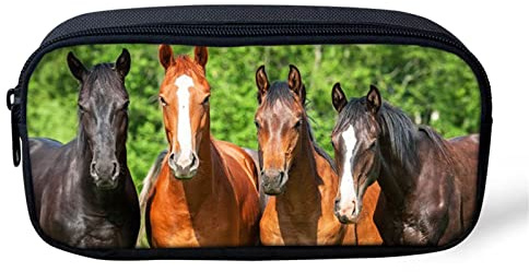 BYCHECAR Trousse scolaire pour garçons et filles, fournitures scolaires, papeterie, petite trousse de maquillage, Vert cheval., Taille unique, Porte-monnaie