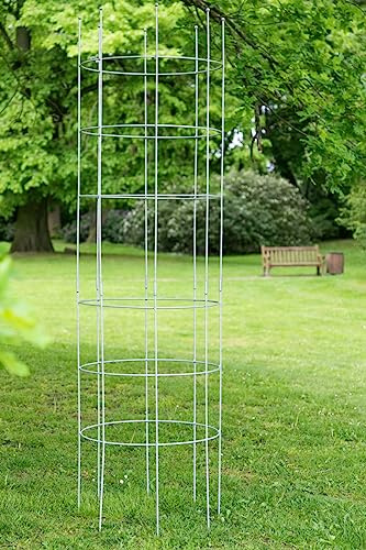 KUHEIGA Rankhilfe Metall Conpalla 200cm - Zink
