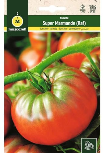 Mascarell Semillas, TOMATE, Semillas Huerto, TOMATE SUPER MARMANDE (Tipo RAF), Crea tu Propio Huerto Urbano y Cultivo en Casa, Plantas Hortícolas, 1 Gramos