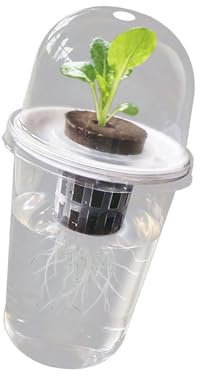 AMISENK Idroponica Coltivazione Contenitore per piantare Forniture idroponiche Contenitore per piante per barbabietola vegetale Accessori da cucina Trasparenza Piantina idroponica Starter Cilindro di