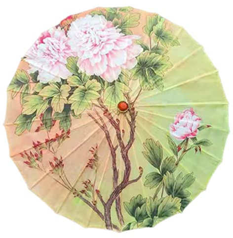 Cosplay Chinese Style Oil Paper Classical Rainproof Umbrella Rainproof Umbrella, Parasol Floral Paper and Bamboo Painted Paper Parasol for Cosplay Hanfu (D)