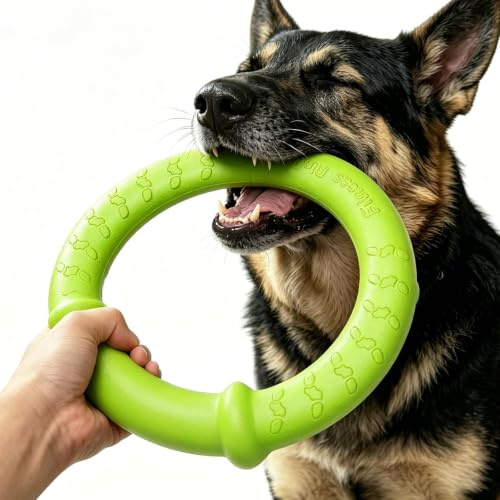LaRoo Unzerstörbare Schwimmende Hundefrisbee für Mittelgroße Hunde - 30 cm Interaktives Kauspielzeug, Sommer Training & Fitness, Agility Spielzeug, Zahnpflege, (Grün)