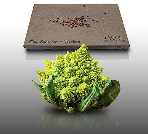 50 graines à semer - Le Grenier d'Abondance - CHOU Romanesco Natalino - Brassica oleracea