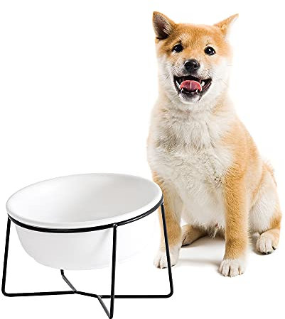 Ceramica Ciotole per Cani Rialzate con Supporto - Ciotola Cane Gatto Inclinata per Acqua e Cibo - Ciotole per Gatti Grande e Cani Taglia Media - 850ml