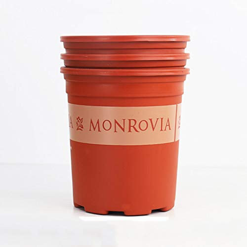 BNCXMO Sun Parasol Umbrella Garden Parasol Wall Mounted Cantilever, Aluminium 7ft / 210cm, Folding, Telescopic, Outdoor Recreation Umbrella for Courtyard/Garden/Terrac