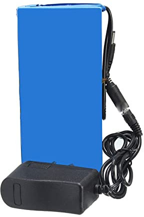 CSTAL Batterie Li-ION Rechargeable DC 12V 10Ah, Batterie Au Lithium Polymère Portable, pour Équipement d'alimentation 12V Mini Lampe LED Sound Box, avec Chargeur