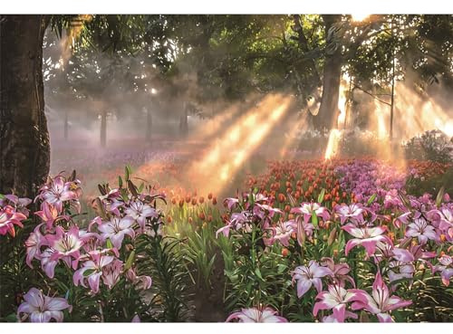 Ttincceer Primavera jardín telón de Fondo 300x200cm Bosque Flores floreciente fotografía Fondo Selva Tropical Sol Lirio tulipán Floral fotografía telón de Fondo recién Nacido bebé Ducha Banner
