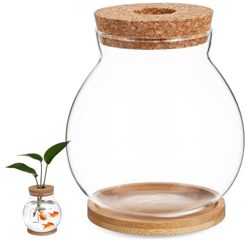 Bol À Poisson en Verre avec Couvercle Réservoir De Tortue Plante Hydroponique Terrarium Poisson Animal Terrarium Bol Support Peceras LED Reptisoil Aquarium pour Betta
