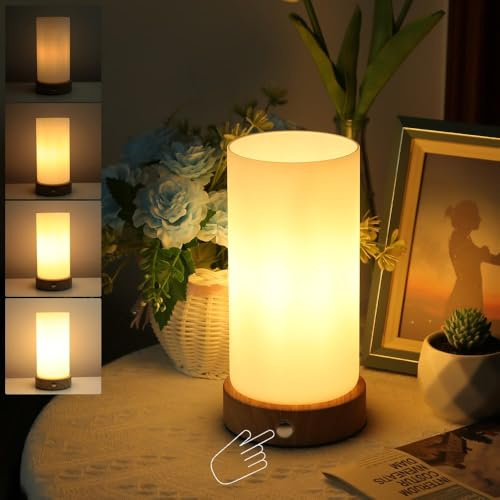 HSLighting Tischlampe Kabellos, Akku Tischleuchte Touch mit Lampenschirm aus Glas Nachttischlampe Atufenlos Dimmbar Wiederaufladbar Tischleuchte für Weihnachten Nachttisch Esszimmer Geschenk, 3000mAh