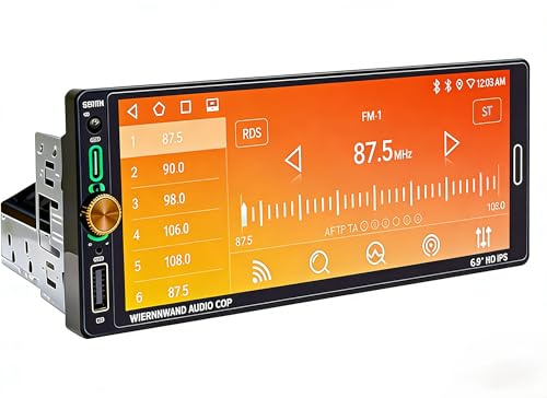 Universal Single Din Car Stereo with carplay Android Auto 6.9 Inch IPS Touchscreen Car Radio with Mirror Link Bluetooth 5.2 Handsfree FM/RDS EQ USB SWC + Backup Camera Remote Controller Mic