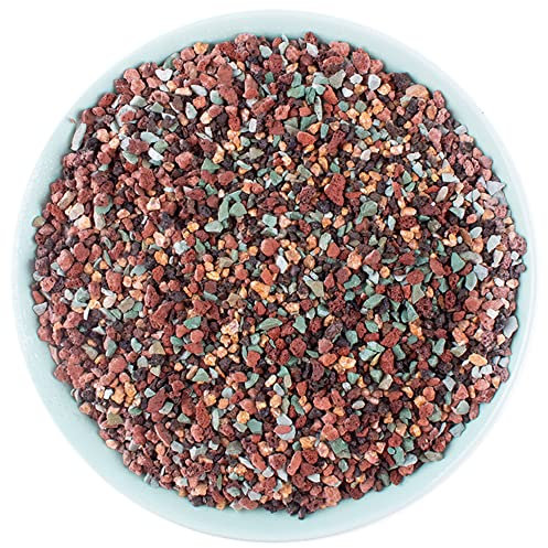 Mélange de pierres de lave de 1,4 kg pour plantes dans la porte – Galets de gravier pour bonsaï, cactus succulents et remplissage de vase, jardinage féérique, top dressing