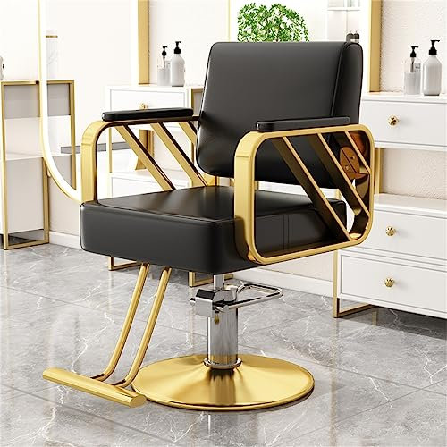 HJDSUDU Hydraulischer Friseurstuhl, hydraulische Friseur-Stylingstühle für Salonfriseur, höhenverstellbar, 360° drehbar, Edelstahl-Armlehnen-Salon-Stylingstühle,E