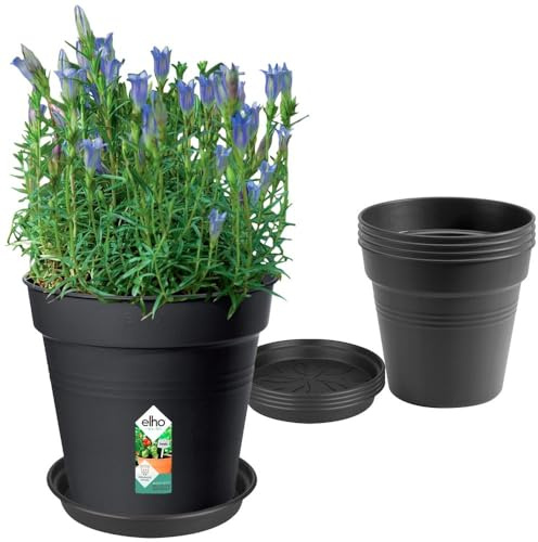 Elho GB Pot De Culture Ensemble de 5 Pots | avec Soucoupes - Living Noir