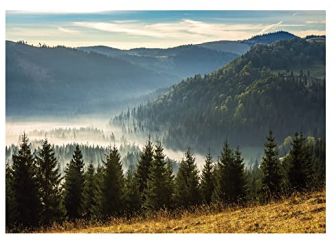 Papel Pintado Montañas Panorama Bosque en Niebla Árboles - Incluye Pegamento - Fotomurales Pared Tejido No Tejido Decorativos Murales Fotográfico XXL Moderno Decoración de Paredes (104x70 cm)
