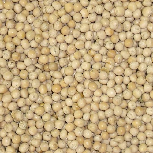 Bamfords Top Flight White Peas 20kg - High Protein Racing Pigeon Food/Fishing Bait