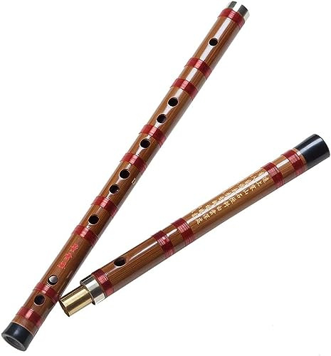 OWIEN Flauto professionale GFEDC chiave bambù flauto trasversale flauto principiante suonare flauto strumento musicale Dizi (D)