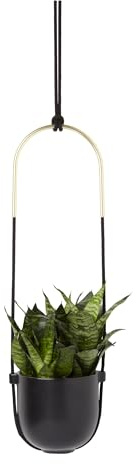 Umbra 1009571-040 Bolo Blumenampel für Innen - Hängender Blumentopf für Anbringung an Wand und Decke, Schwarz, 22.35 x 21.59 x 20.95 cm