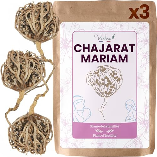 VIRHEA® Rose von Jericho Chajarat Mariam x3 - Echte Maryam Pflanze - Wunderschöne Kaf Pflanze für Dekoration - Ideal für Ihre Wohnung oder als Geschenk