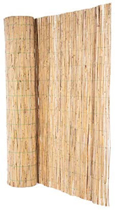 Bambussi Tapis de roseau 200 x 500 cm avec fil vert – Brise-vue élevé – Fabriqué en UE 2 m x 5 m
