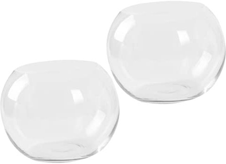 Warmhm Glasvase Transparent Kreativer Hydrokultur-blumentopf Für Schreibtischdeko Blumenvase Für Zuhause Und Büro