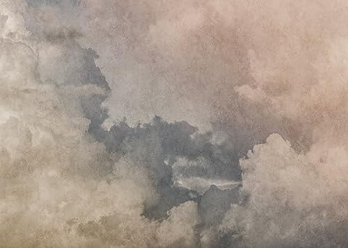 Rasch Tapete 363197 - Fototapete auf Vlies mit Wolken und Himmel in Weiß und Blau - 2,65m x 3,71m (LxB)