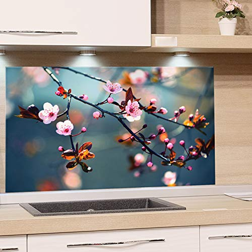 GRAZDesign Küchenrückwand Spritzschutz Glas für Küche Herd, Motiv Kirschblüte im Sommer, Küchenspiegel Glasrückwand, Herdblende Rückwand Küche, 4mm ESG Glas, 80x40cm