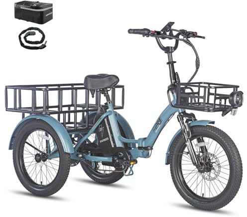 Fafrees F20 Mate Elektro Dreirad 250W 25km/h, E-Bike 3 Rad Upgrade 48V 20Ah Akku, E Bike Klapprad 20 * 3.0 Zoll, Reichweite bis zu 110Km, 65N.m E-Dreirad Lasten für Erwachsene