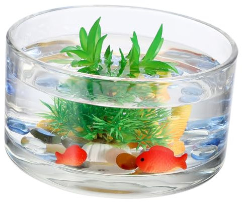 Abaodam Maceta de cristal transparente para hidroponía, elegante jarrón decorativo para decoración, duradero con alta transparencia para esquejes y arreglos de plantas