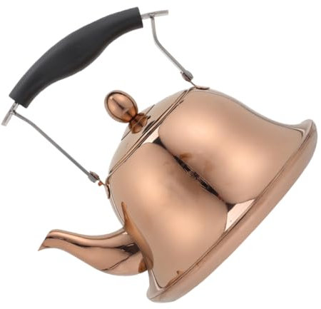 Amosfun Théière À Thé Avec Poignée En Acier Inoxydable 1 L Bouilloire À Chauffage Rapide Sifflante Pour La Maison Et