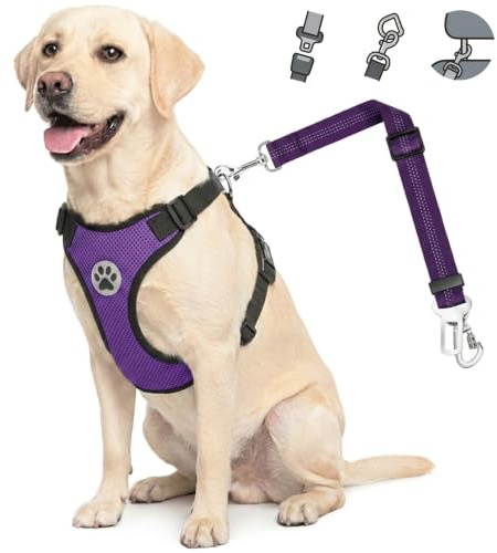 Lukovee Dog Seat Belt for Car, Adjustable Dog Car Harness for Large Medium Small Dogs, Soft Padded & Breathable Mesh Dog Seatbelt with Car Strap and Carabiner (Purple,M)